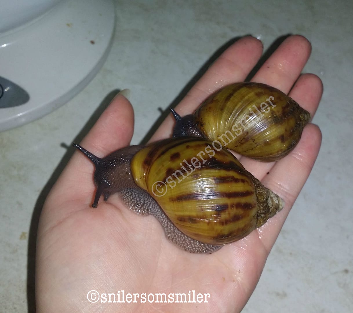 Frank and beate after