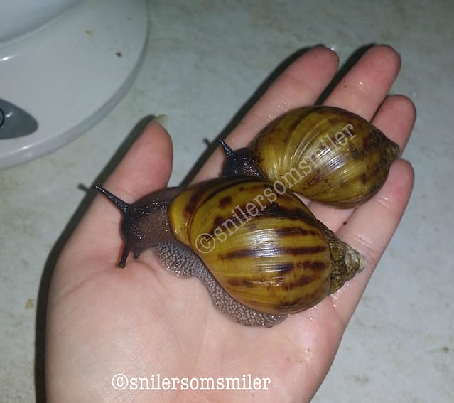 Frank and beate after